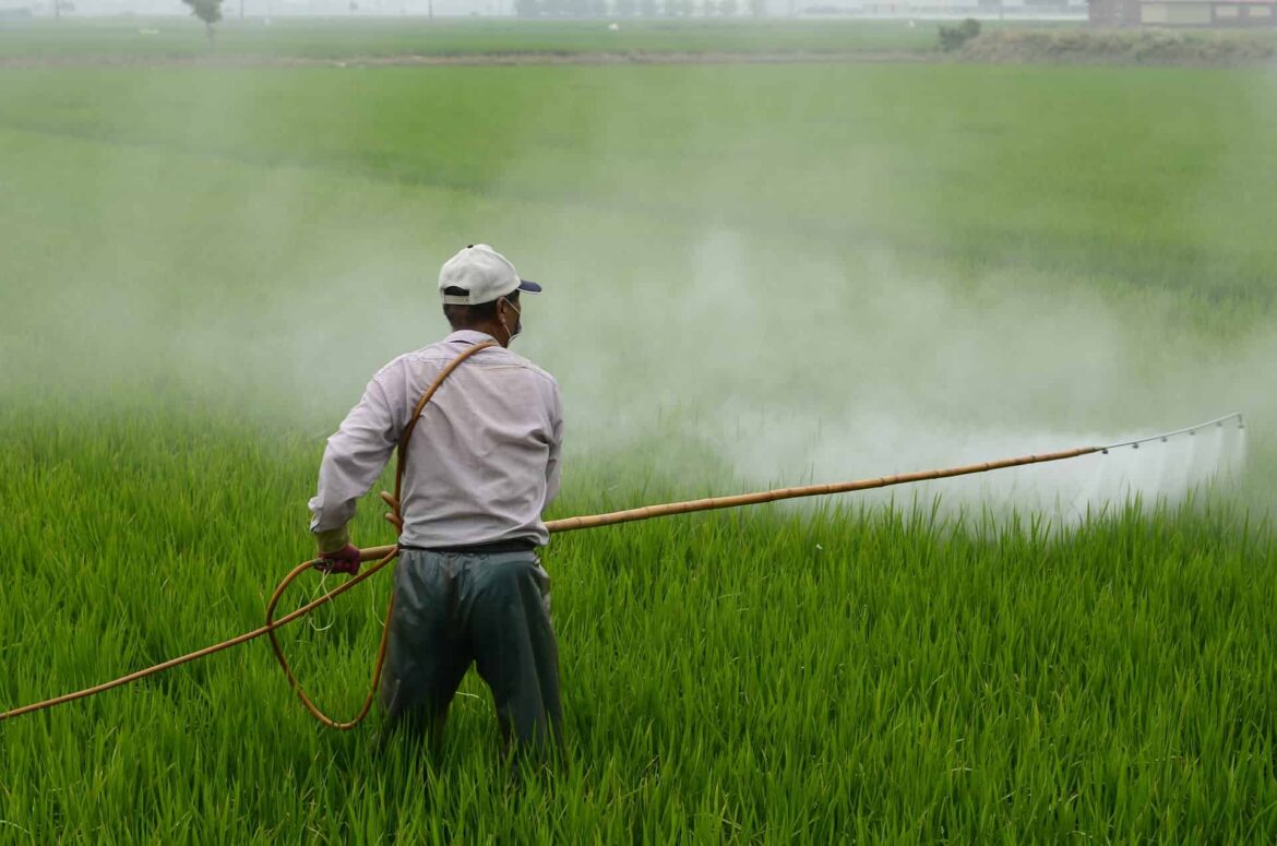 Union Budget 2021 Update: CropLife India Demands GST rate cut on Agrochemicals and Inter-state ITC adjustment